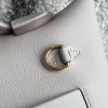 2424 Mini 21 Evercolor And Swift Gris Perle (80) Gold Hardware - Image 6