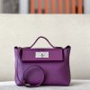 2424 Mini 21 Evercolor And Swift Anemone (P9) Palladium Hardware